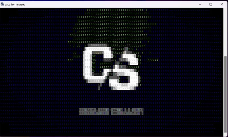 V4l2-cacasink.jpg